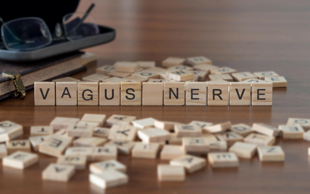 The Vagus Nerve: Bridging Advanced Modalities to Holistic Wellness