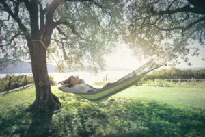 Complete relax